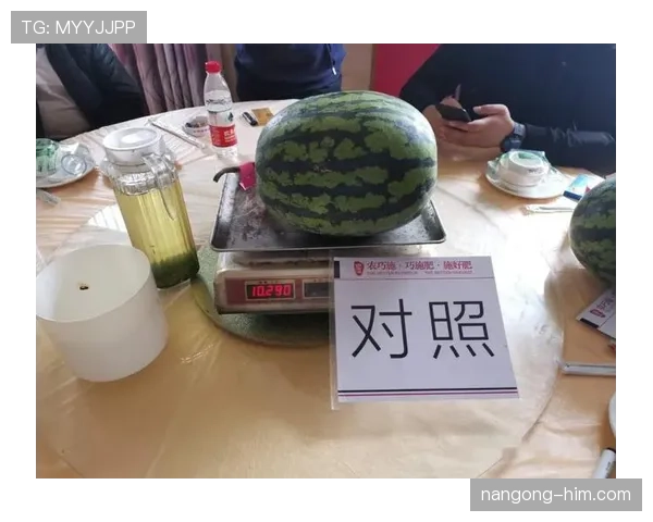 谌利军家里冰箱贴满训练计划，老婆说他连吃块西瓜都要称重